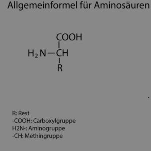 Allgemeine Strukturformel für Aminosäuren